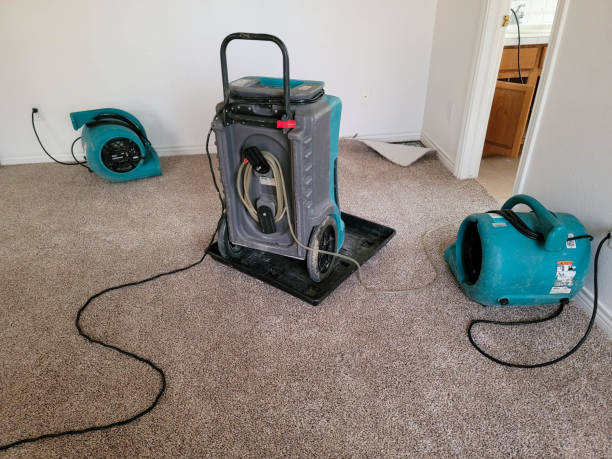 Best Local water damage restoration  in Bryn Athyn, PA