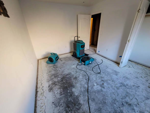 Best Flooded house restoration  in Bryn Athyn, PA