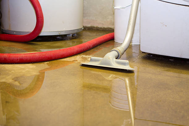 Best Basement water damage restoration  in Bryn Athyn, PA