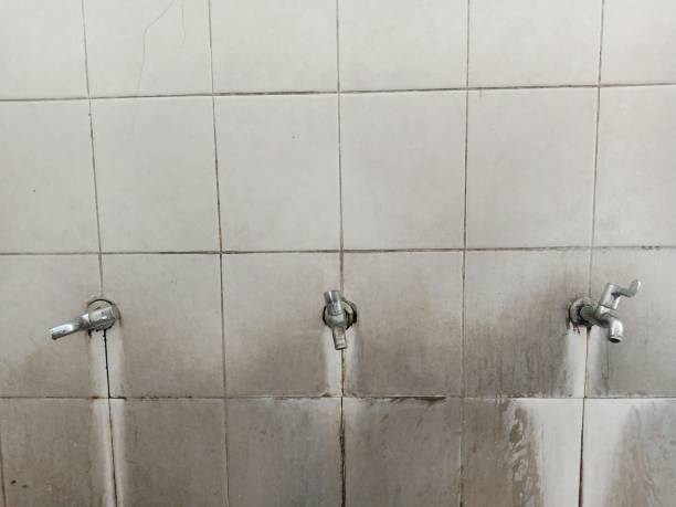 Best 24/7 water damage repair  in Bryn Athyn, PA